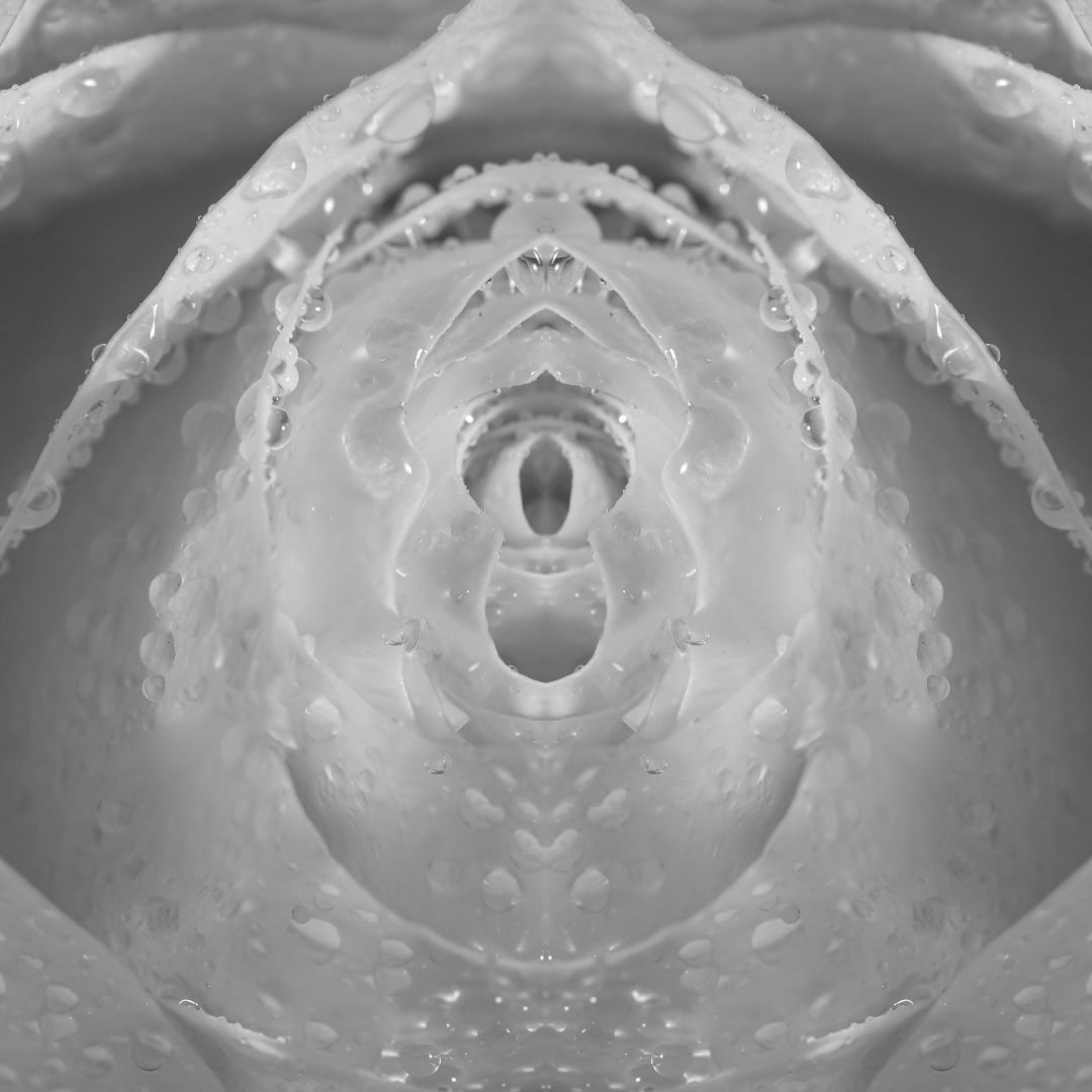 Hyménoplastie à Lyon : Expertise et Éthique à la Clinique Crillon